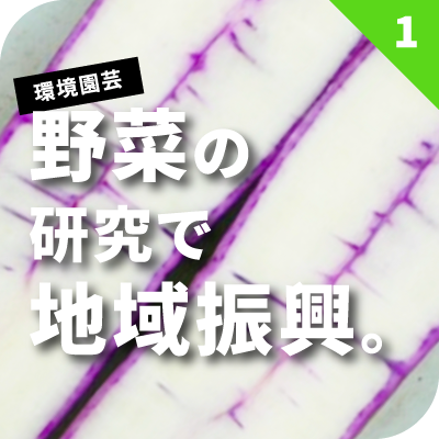 野菜の研究で地域振興。