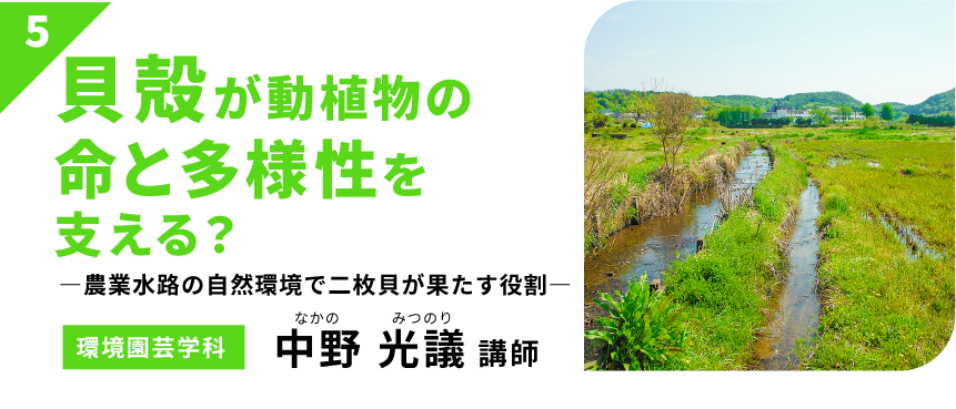 貝殻が動植物の命と多様性を支える？　－農業水路の自然環境で二枚貝が果たす役割－　【環境園芸学科】中野 光議 講師