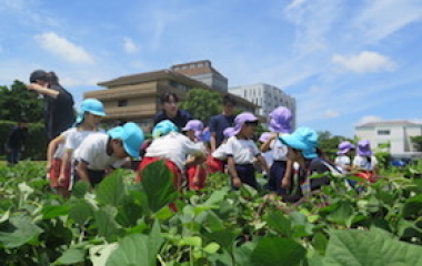 連携幼稚園の子どもたちが環境教育プログラムに参加