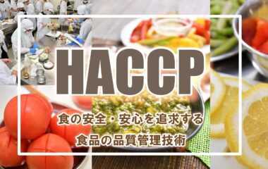 長田准教授の原著論文「生中華めんの長期保存に必要なエタノール濃度と製造工程」が学会誌に掲載されました