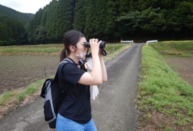 谷津田における鳥類の行動観察