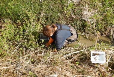 水路における二枚貝の採捕