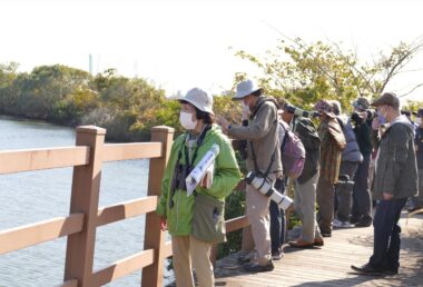 整備された友内川散策コース