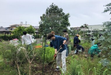 農園の整備