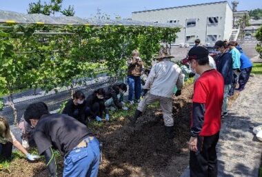 植え付け圃場の除草および整地