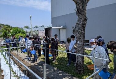 植え付け後の灌水作業