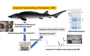 矢野原准教授の原著論文「Rapid Production of Fish Sauce from the Internal Organs of White Sturgeon, Acipenser transmontanus Richardson, 1836」が国際学術誌に掲載されました。