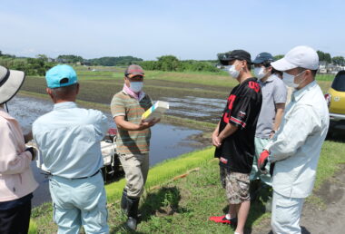 植え付けの前に、いもち病や水稲主要害虫などの予防のための箱施薬剤を散布。