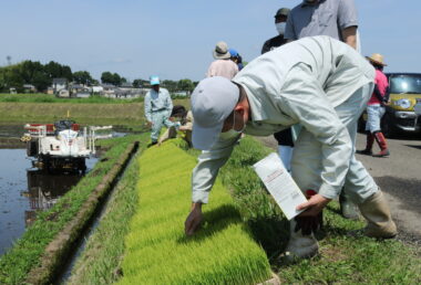 植え付けの前に、いもち病や水稲主要害虫などの予防のための箱施薬剤を散布。