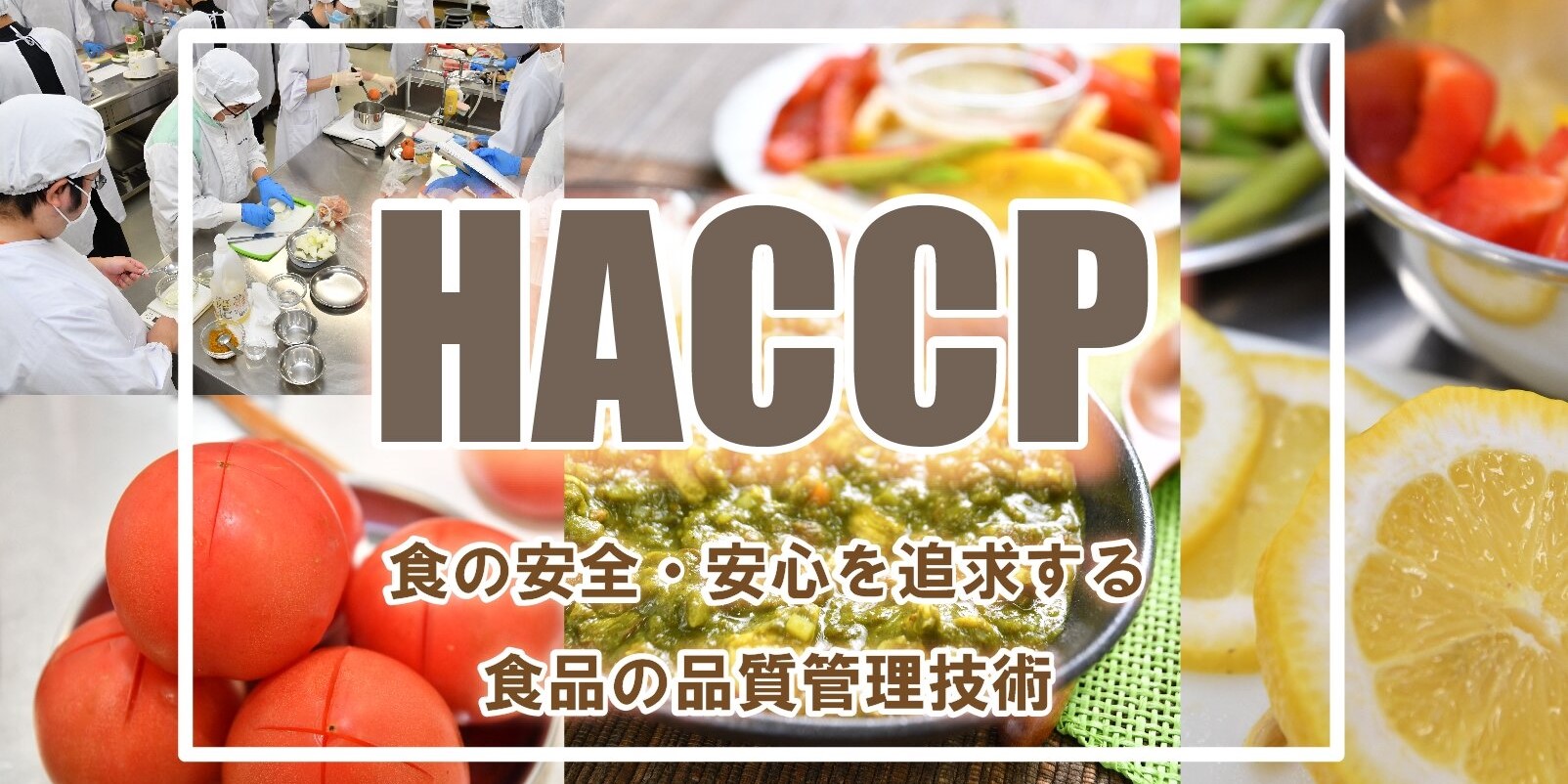 HACCP