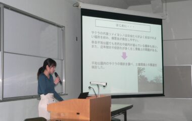 卒業論文発表会（自然環境分野）を開催