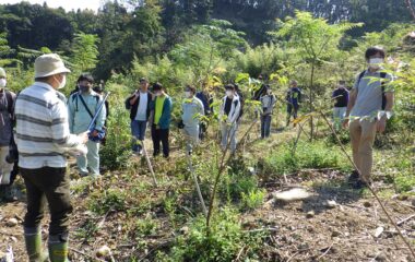 「自然環境実習」で絶滅危惧Ⅰ類のチョウの生息地を見学