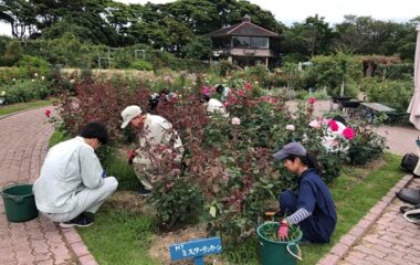 宮崎市「こどものくに」にて実習