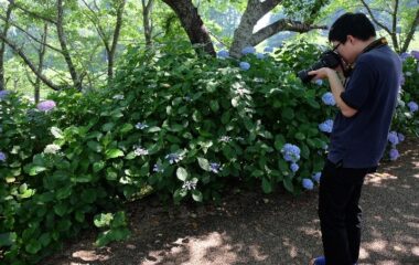 「山之口あじさい公園」再生に関する研究成果を都城市長報告