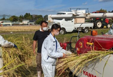 ⑪四隅の刈り稲_脱穀