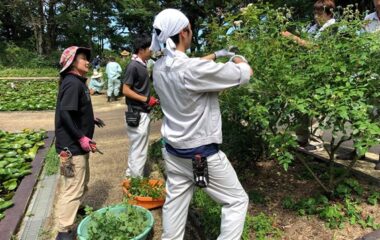 宮崎市「こどものくに」にて実習