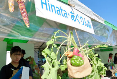 カラフルコーンや色とりどりの野菜を使ってブースをディスプレイしました。