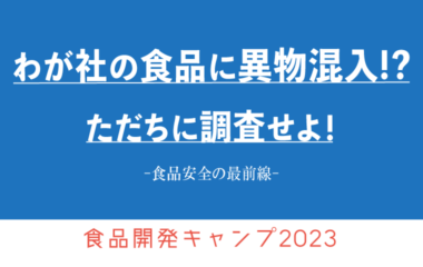 サマーキャンプの内容が決定しました【食品開発キャンプ2003】