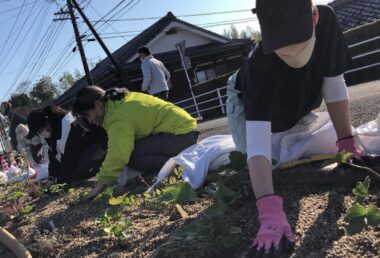 2023年2月植栽時