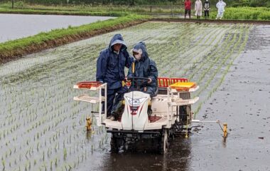 稲作体験「チャレンジ農園」の田植えを行いました