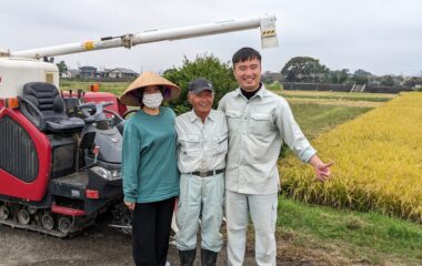 収穫の秋「チャレンジ農園」の稲刈り体験