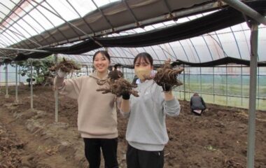 令和５年度「食と農をキビリ隊 in 木城町」