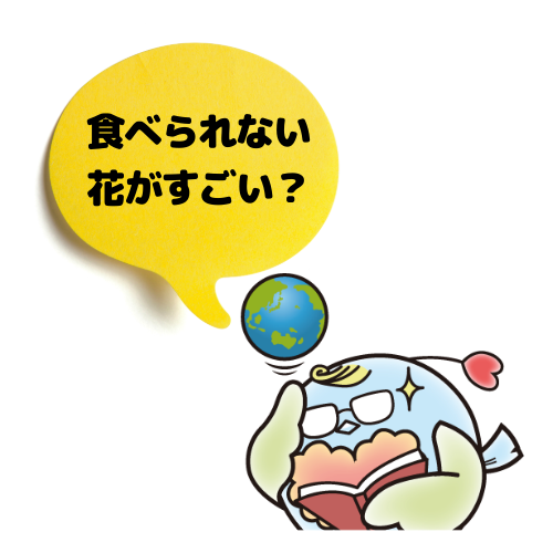 NANKYUちゃん