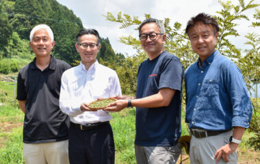 「山椒産地形成プロジェクト」 高千穂町で初収穫