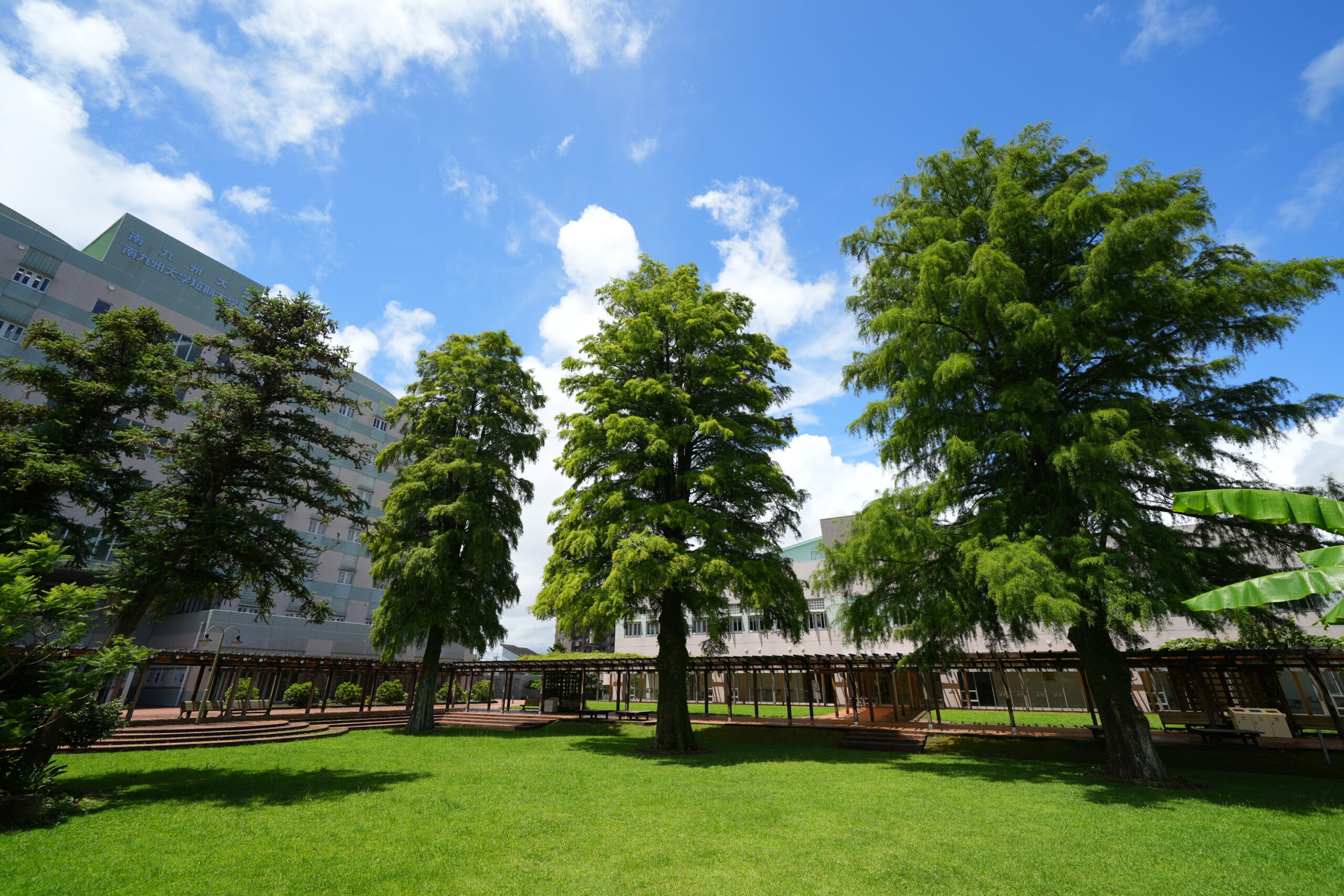 南九州大学 宮崎キャンパス