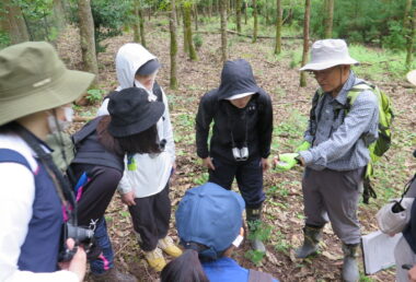 環境問題演習(森林調査)