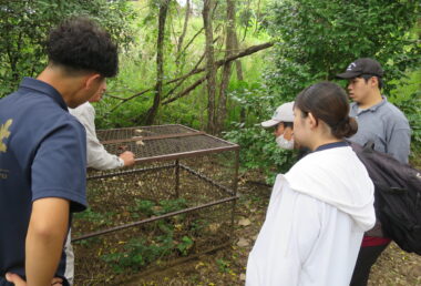 環境問題演習(狩猟ワナの見学)
