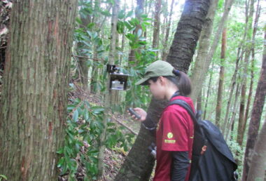 カモシカの調査(カメラ調査)