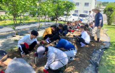 「地域特産ブランド開発論」講義でピーマン定植