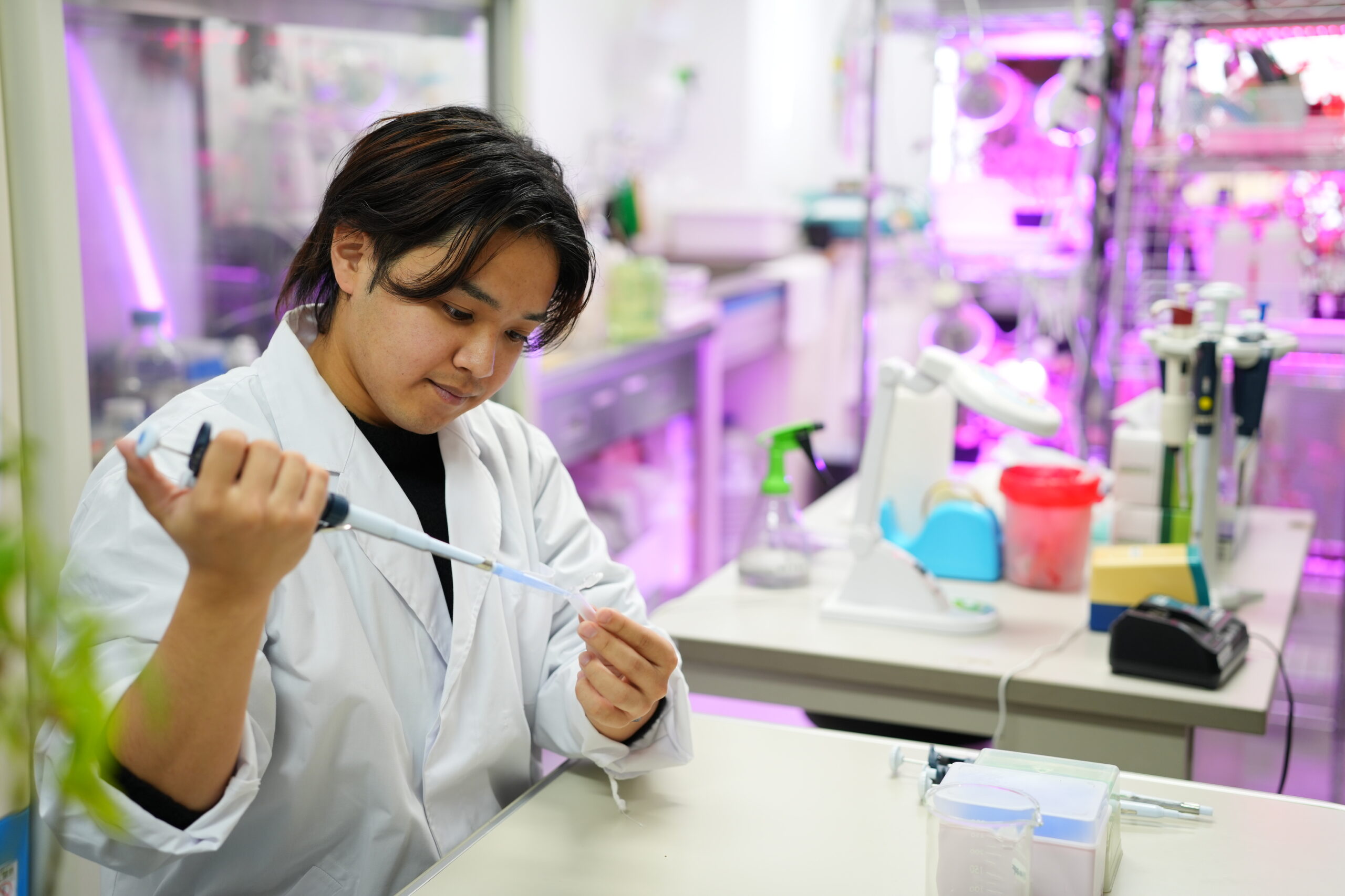 研究活動の様子